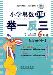 小學奧數舉一反三·六年級B版·鉆石版 廣告業務視角下的視覺營銷商品圖庫構建策略